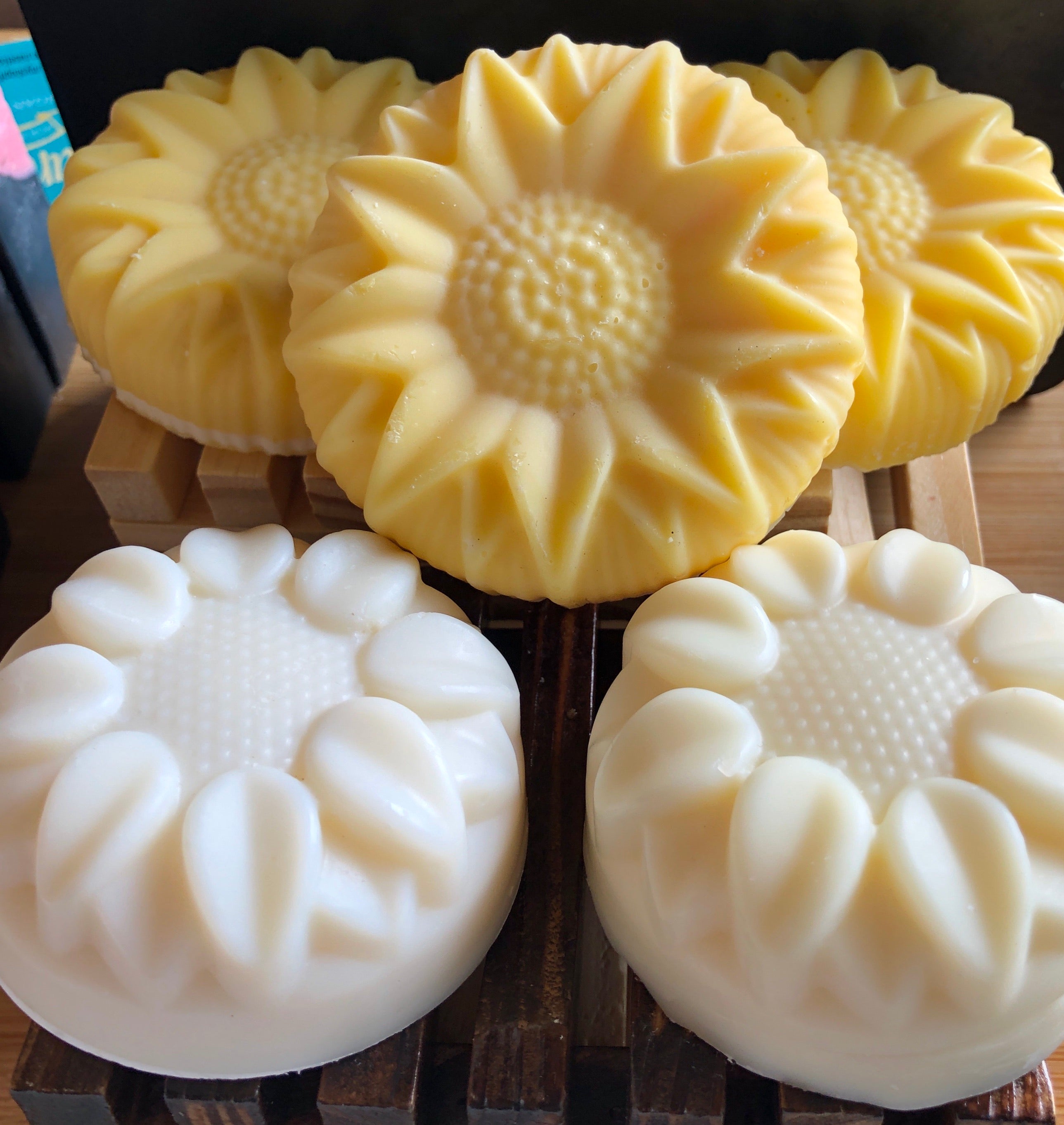 Zero waste dish refills